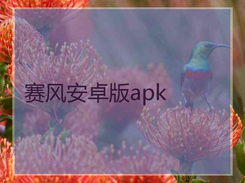 赛风安卓版apk