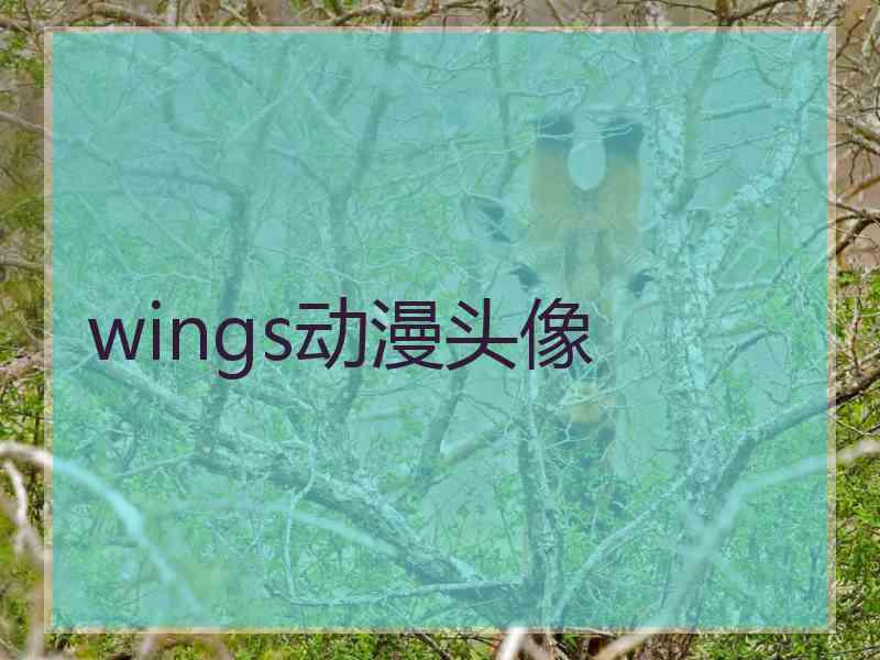 wings动漫头像