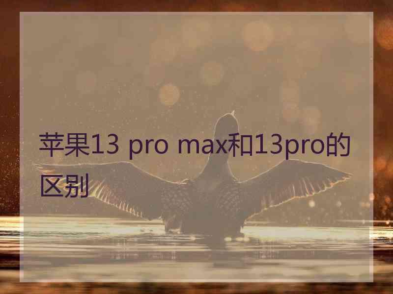 苹果13 pro max和13pro的区别