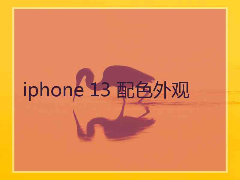 iphone 13 配色外观