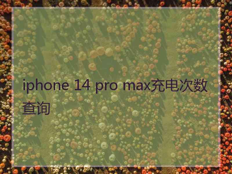 iphone 14 pro max充电次数查询