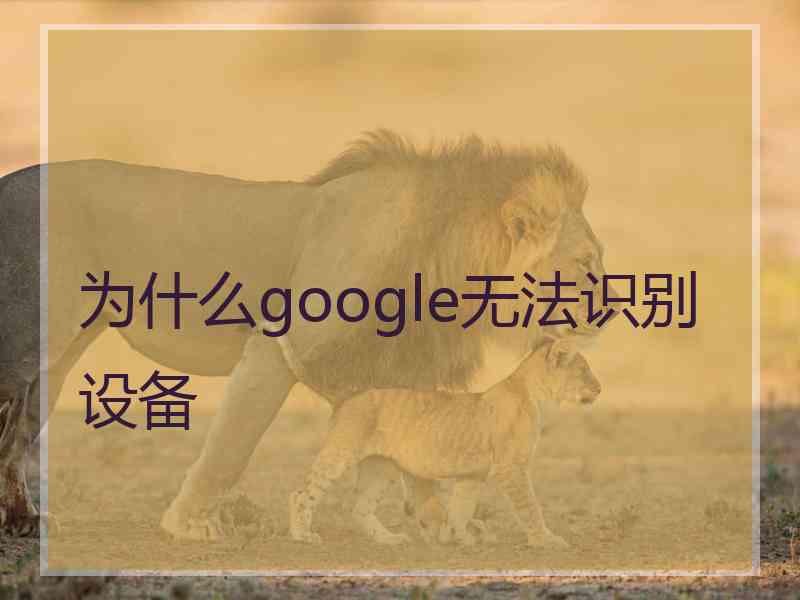 为什么google无法识别设备