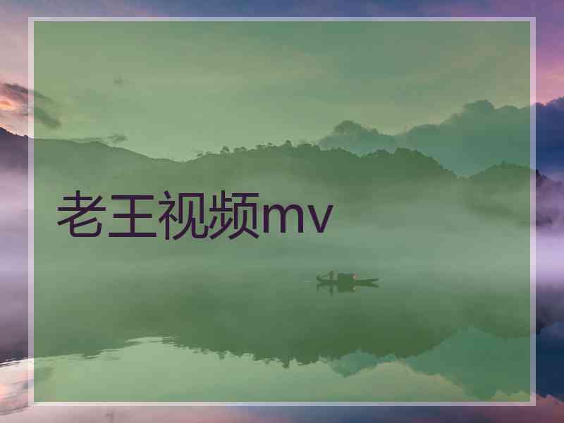 老王视频mv