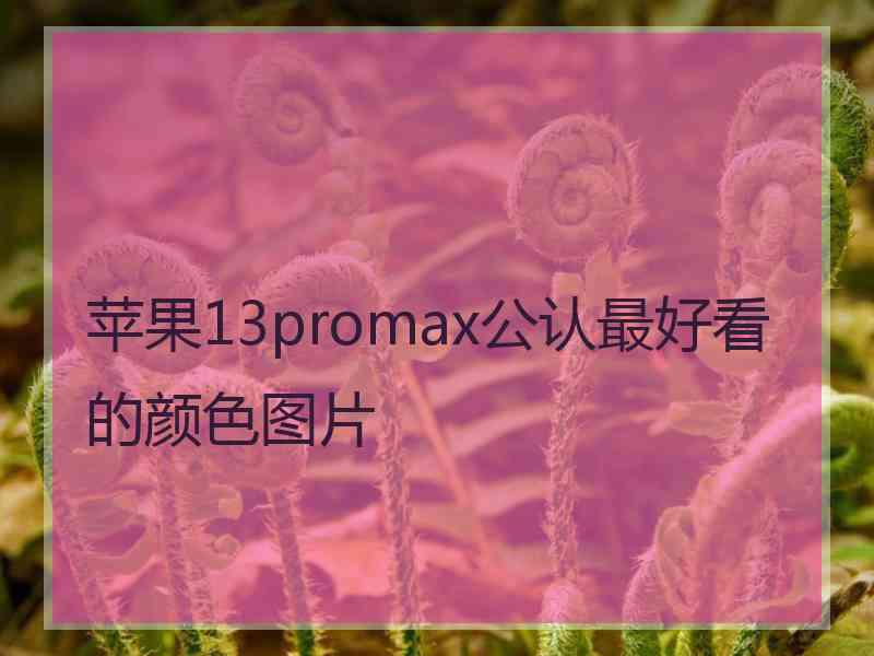 苹果13promax公认最好看的颜色图片