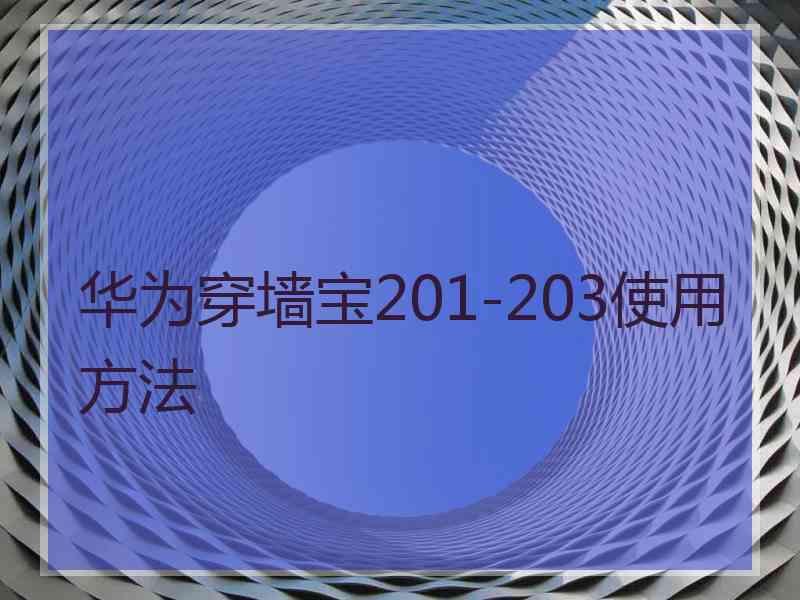 华为穿墙宝201-203使用方法