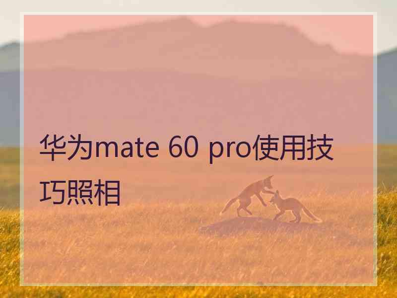 华为mate 60 pro使用技巧照相