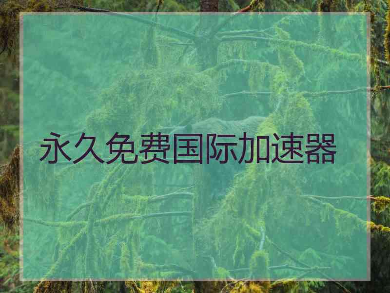 永久免费国际加速器