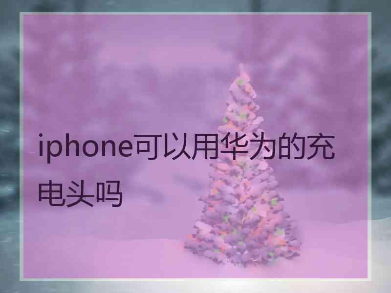 iphone可以用华为的充电头吗