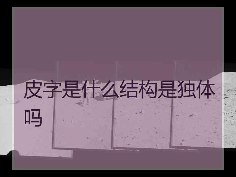 皮字是什么结构是独体吗