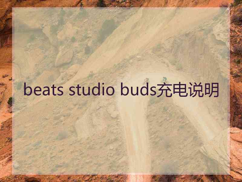 beats studio buds充电说明