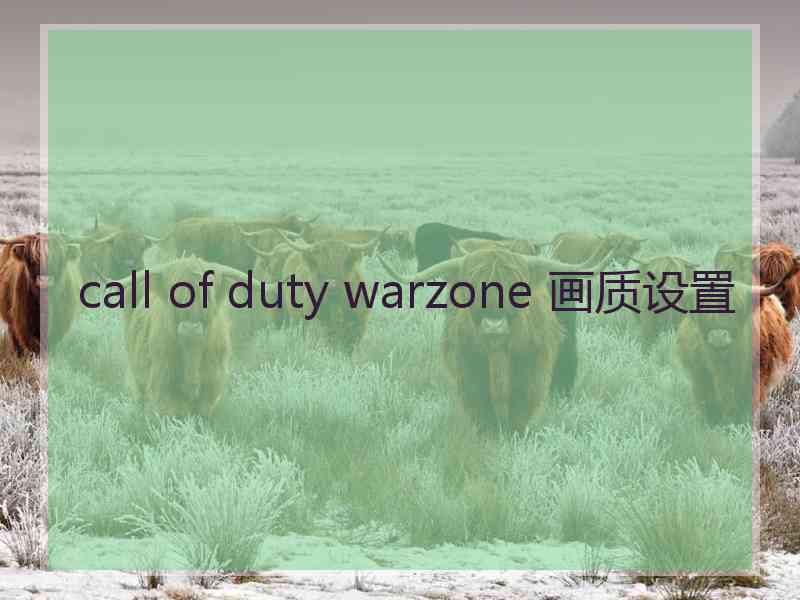 call of duty warzone 画质设置