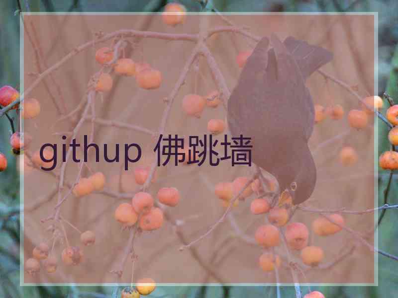 githup 佛跳墙