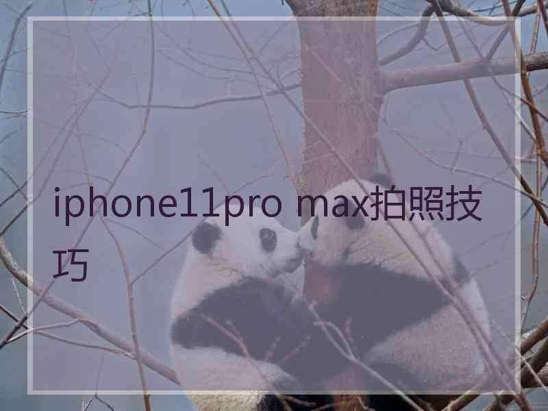 iphone11pro max拍照技巧