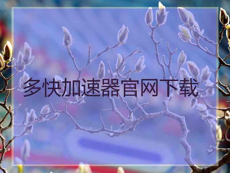 多快加速器官网下载