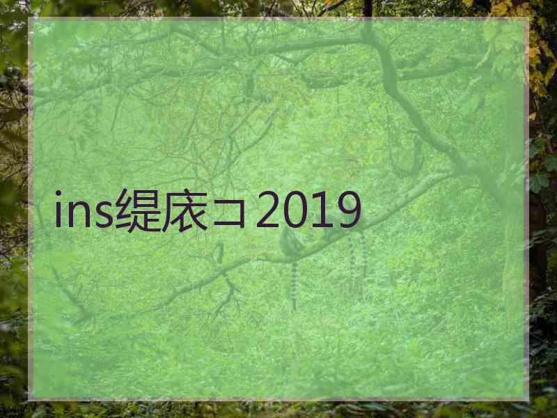 ins缇庡コ2019