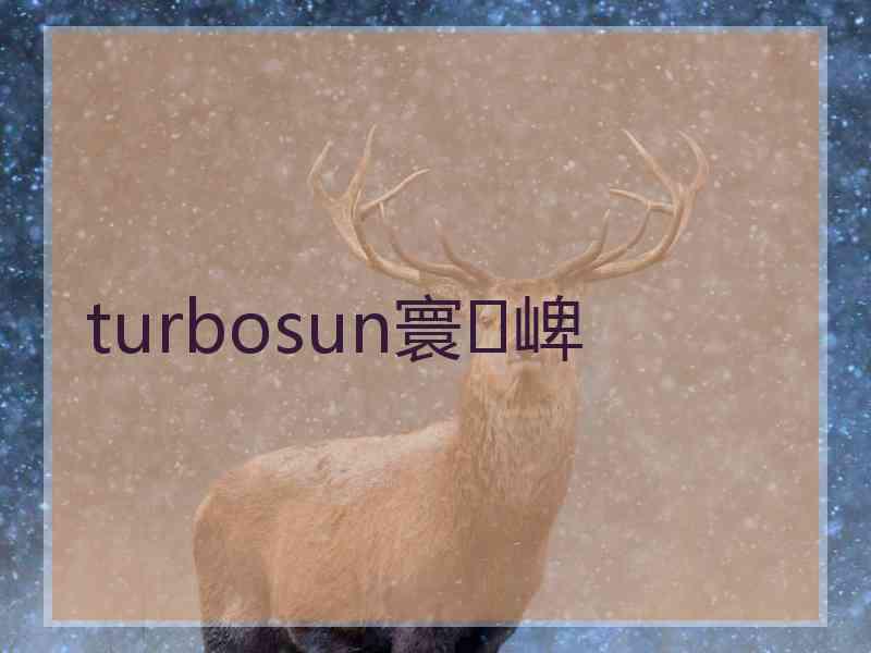 turbosun寰崥