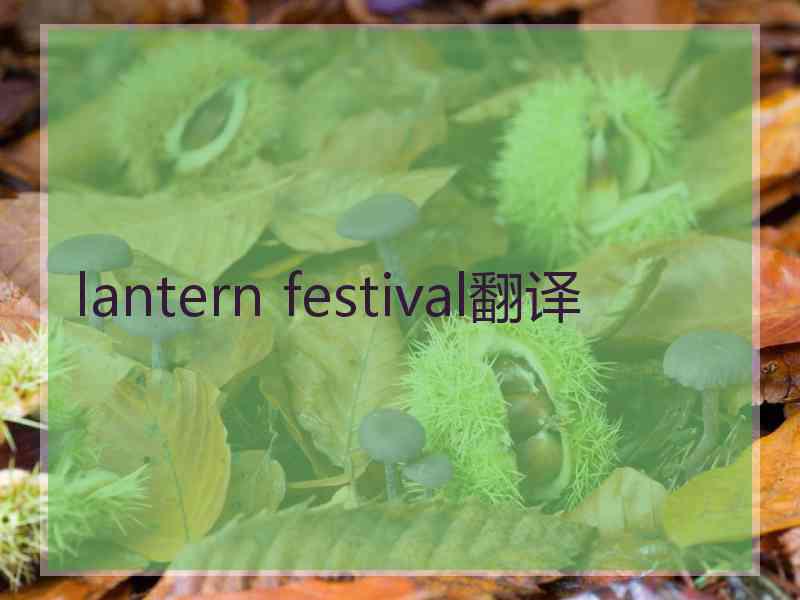 lantern festival翻译