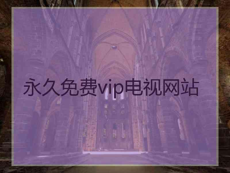 永久免费vip电视网站