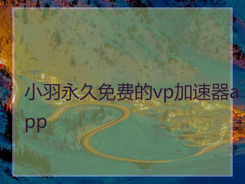 小羽永久免费的vp加速器app