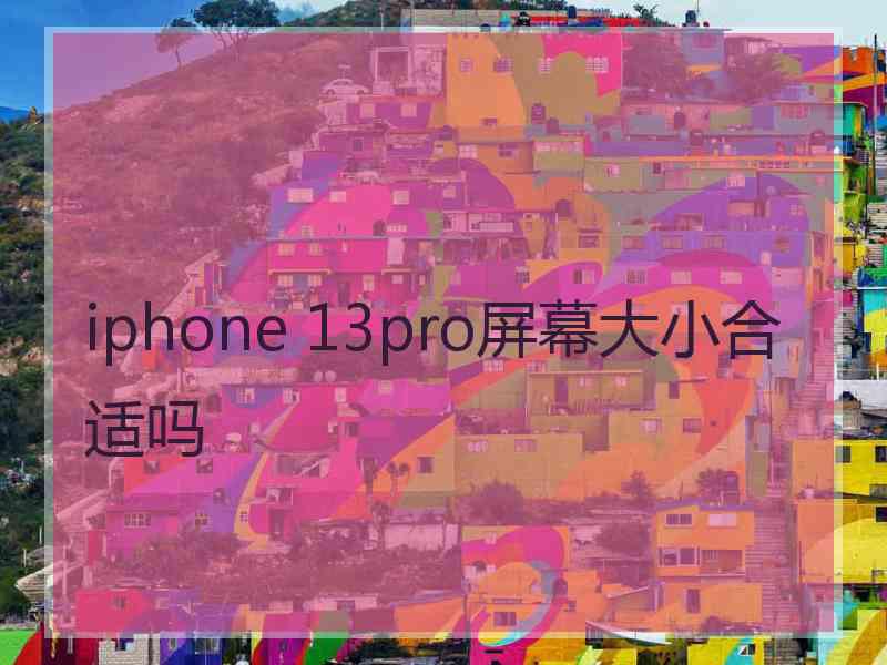 iphone 13pro屏幕大小合适吗