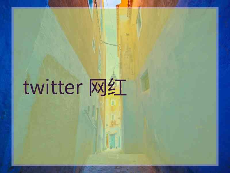 twitter 网红