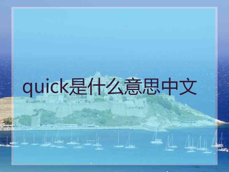 quick是什么意思中文