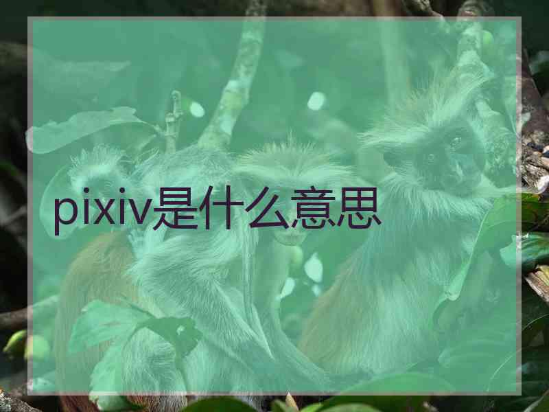 pixiv是什么意思