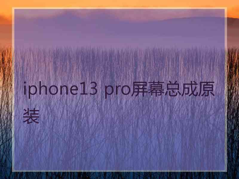 iphone13 pro屏幕总成原装