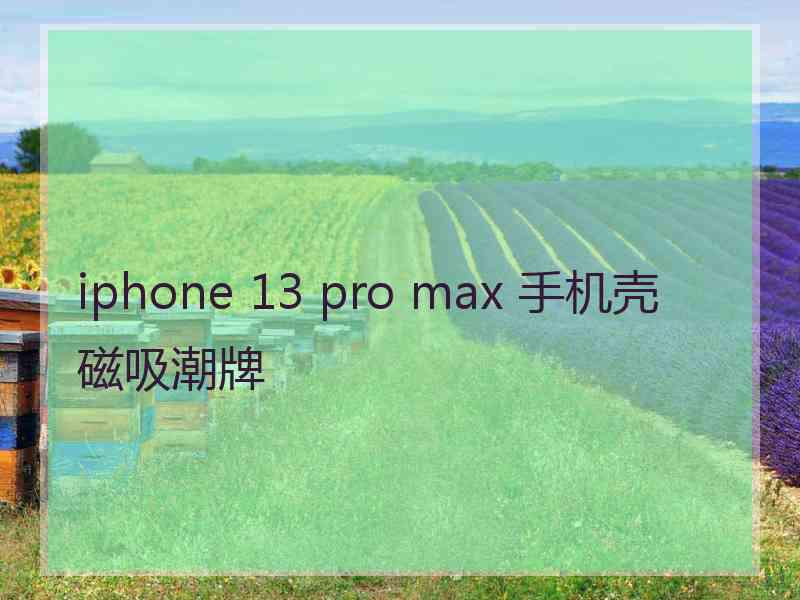 iphone 13 pro max 手机壳磁吸潮牌