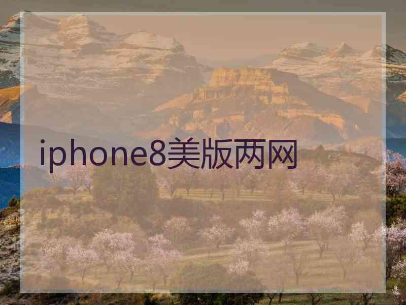 iphone8美版两网