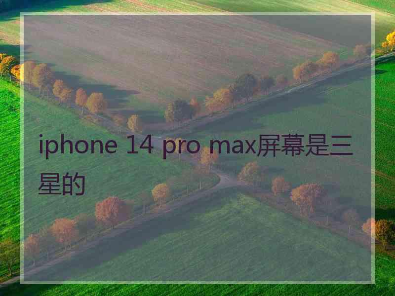 iphone 14 pro max屏幕是三星的