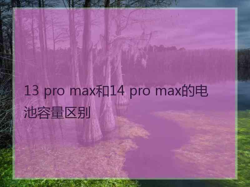 13 pro max和14 pro max的电池容量区别