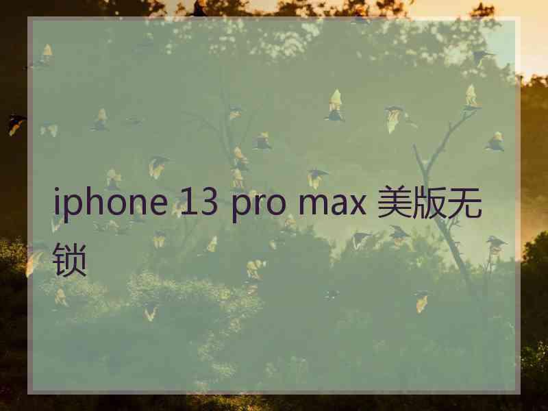 iphone 13 pro max 美版无锁