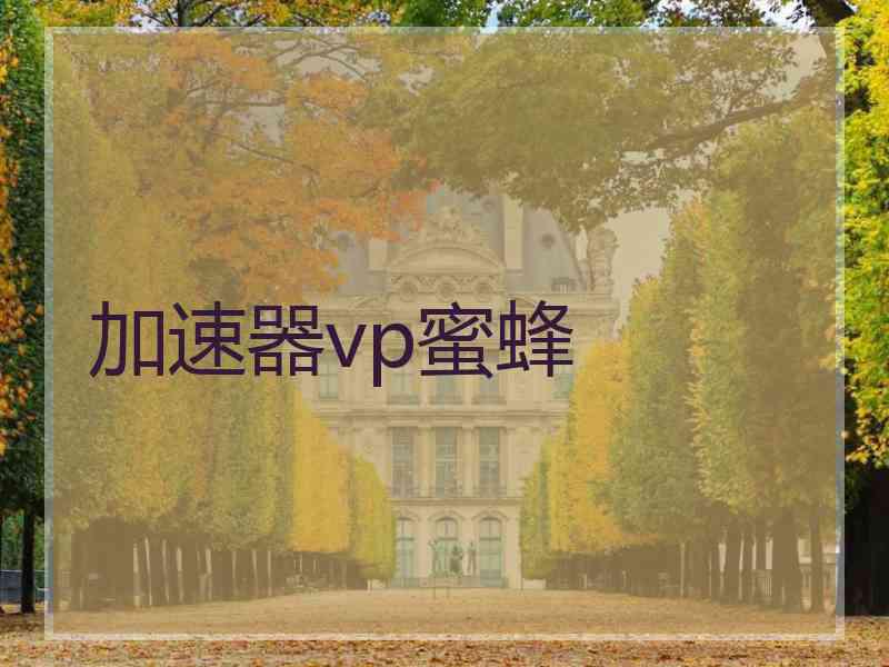 加速器vp蜜蜂