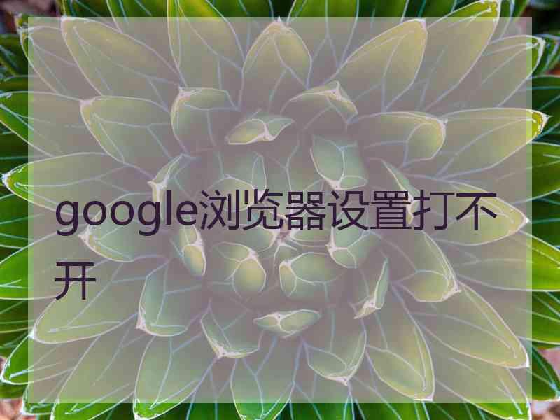 google浏览器设置打不开