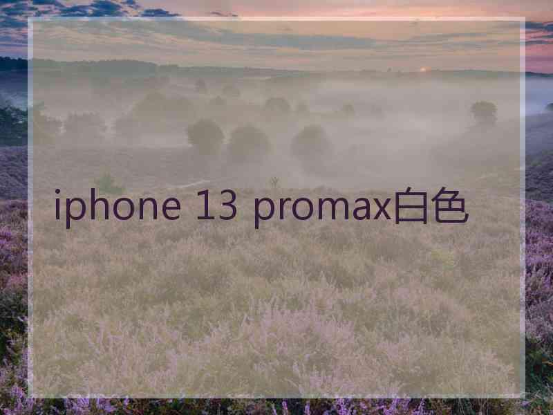 iphone 13 promax白色