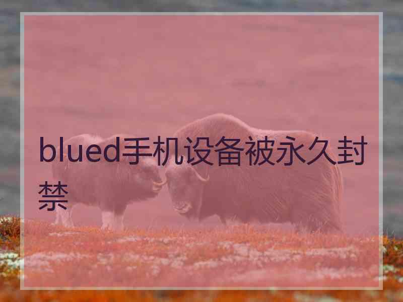 blued手机设备被永久封禁