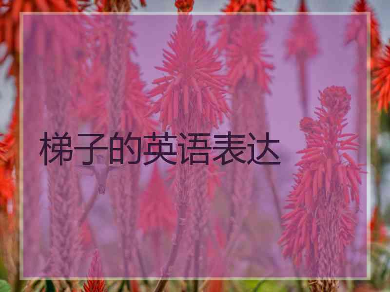 梯子的英语表达