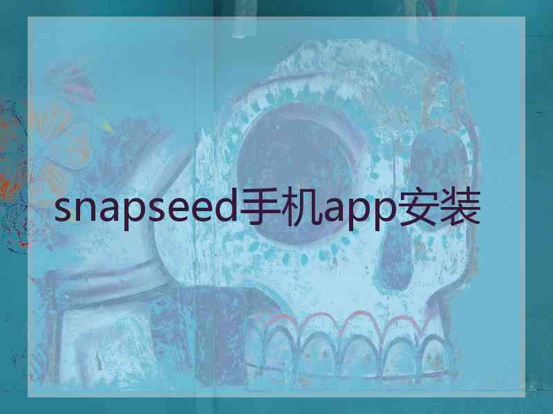 snapseed手机app安装