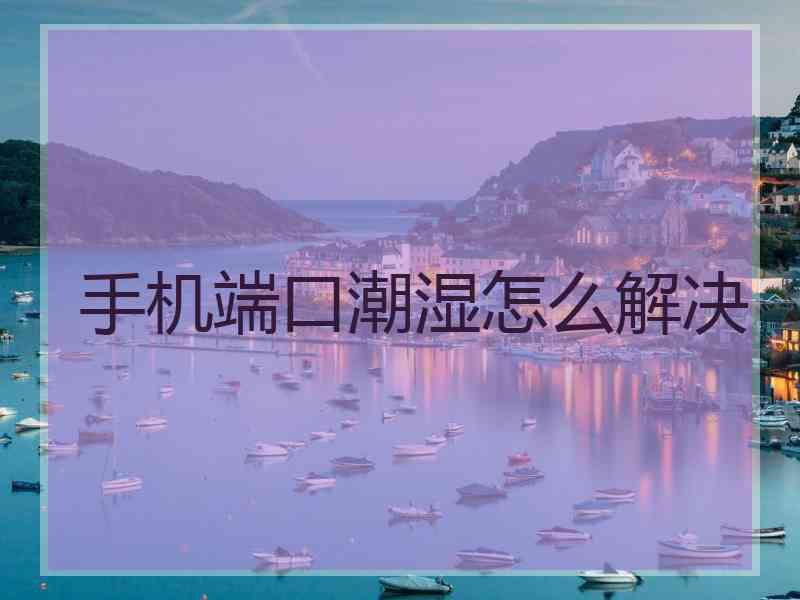 手机端口潮湿怎么解决