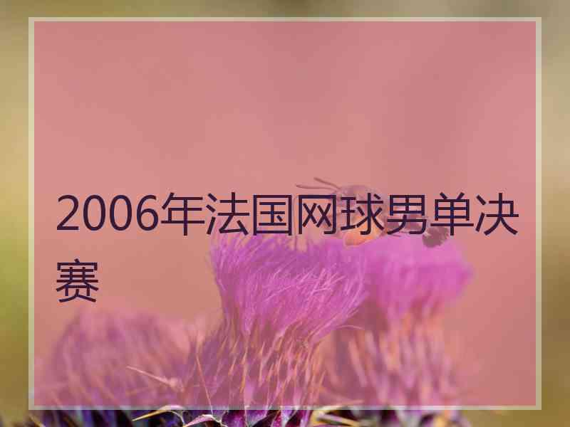 2006年法国网球男单决赛