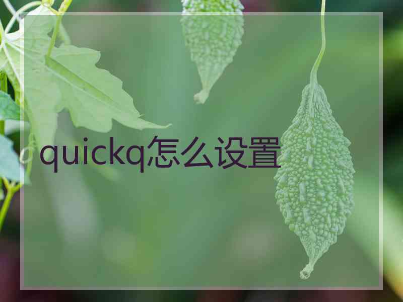 quickq怎么设置