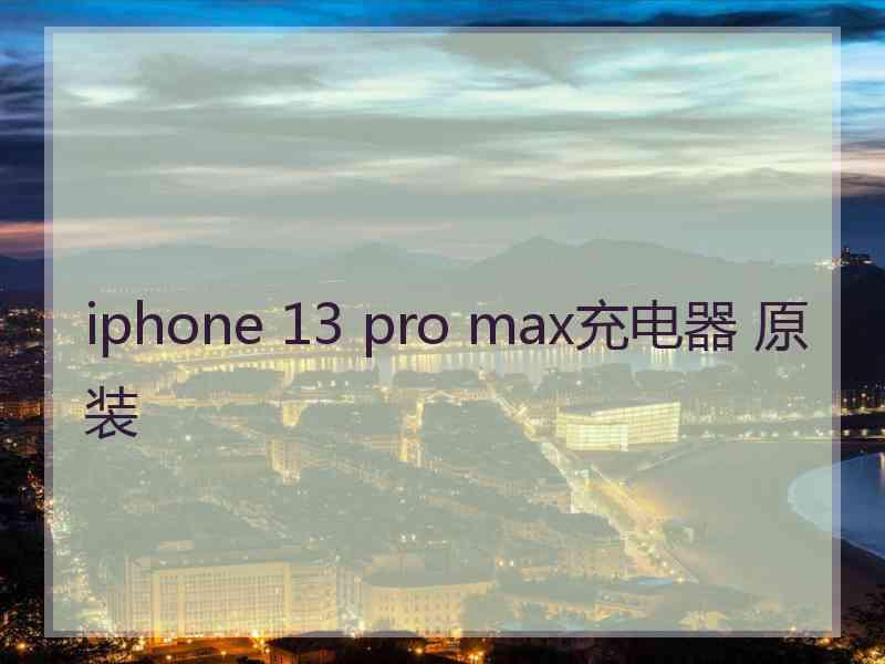 iphone 13 pro max充电器 原装