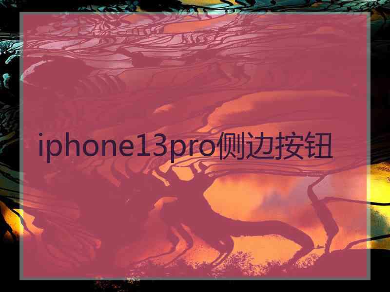 iphone13pro侧边按钮