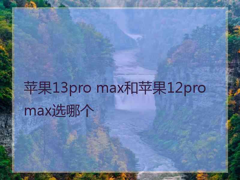 苹果13pro max和苹果12promax选哪个