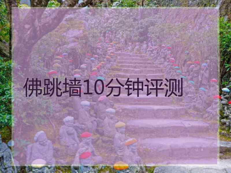 佛跳墙10分钟评测