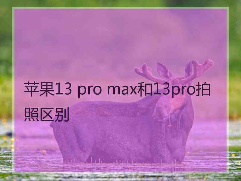 苹果13 pro max和13pro拍照区别