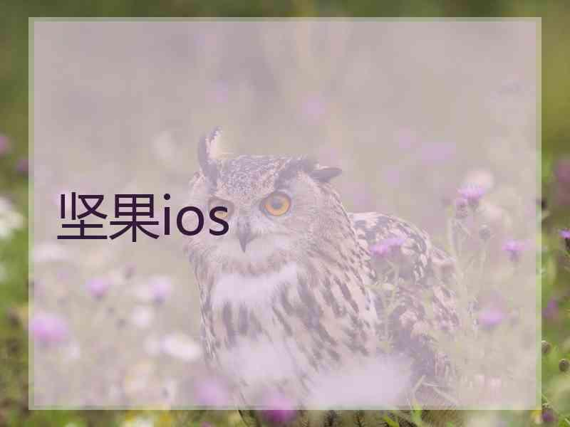 坚果ios