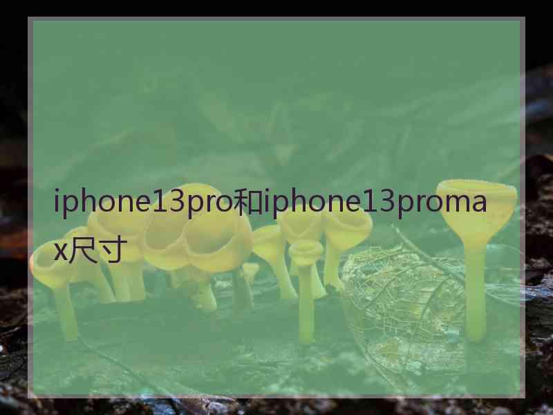 iphone13pro和iphone13promax尺寸