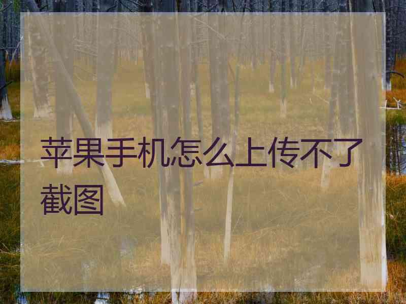 苹果手机怎么上传不了截图